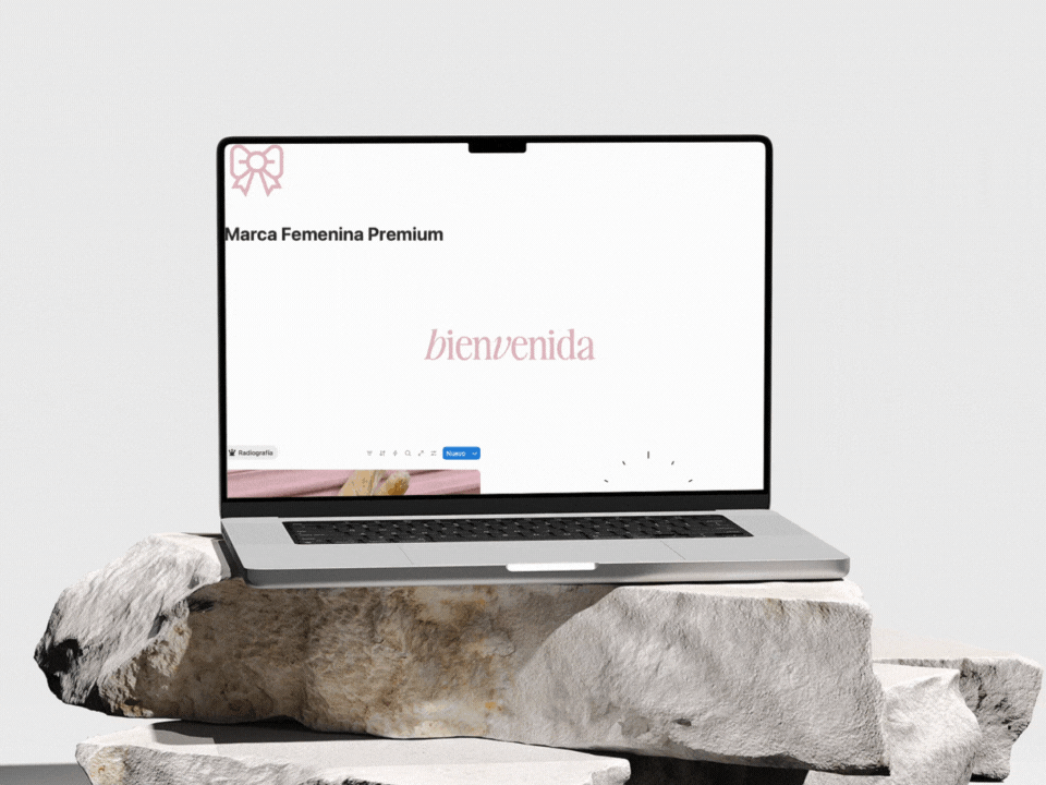 Kit Exclusivo Marca Femenina Premium Notion